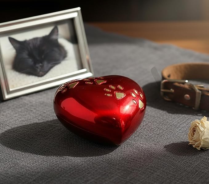 eSplanade cat Dog pet Cremation Mini Heart urn Keepsake Memorial | Small urn for Ashes Funeral Burial