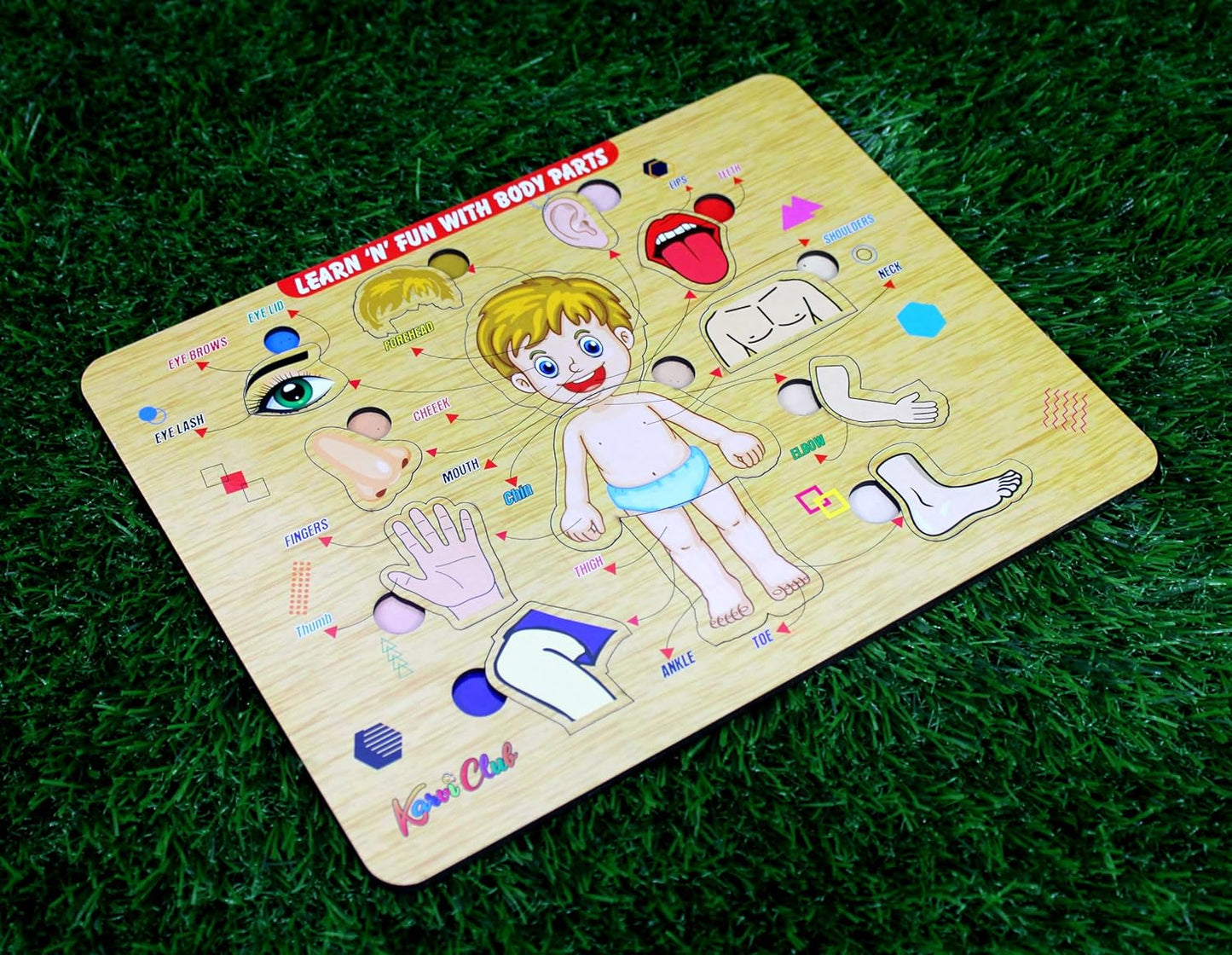 StonKraft Wooden Body Parts | Preschool Learning Board Puzzle for Kids Infants Toddlers - 11 Pieces - Multicolor- 12" x 9" Inches